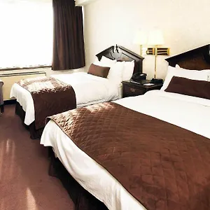 Hotel Western Primrose Downtown, Toronto