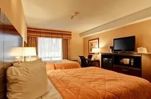 Comfort Inn East Scarborough Toronto Hotel