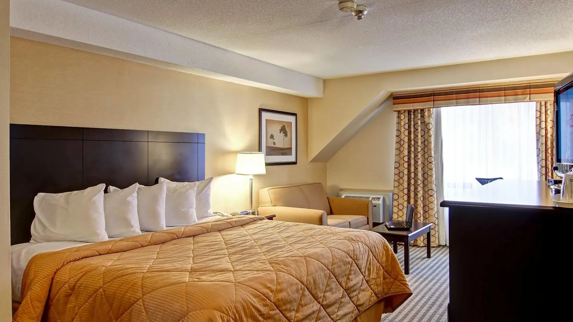 Comfort Inn East Scarborough Toronto 3*,  Canada