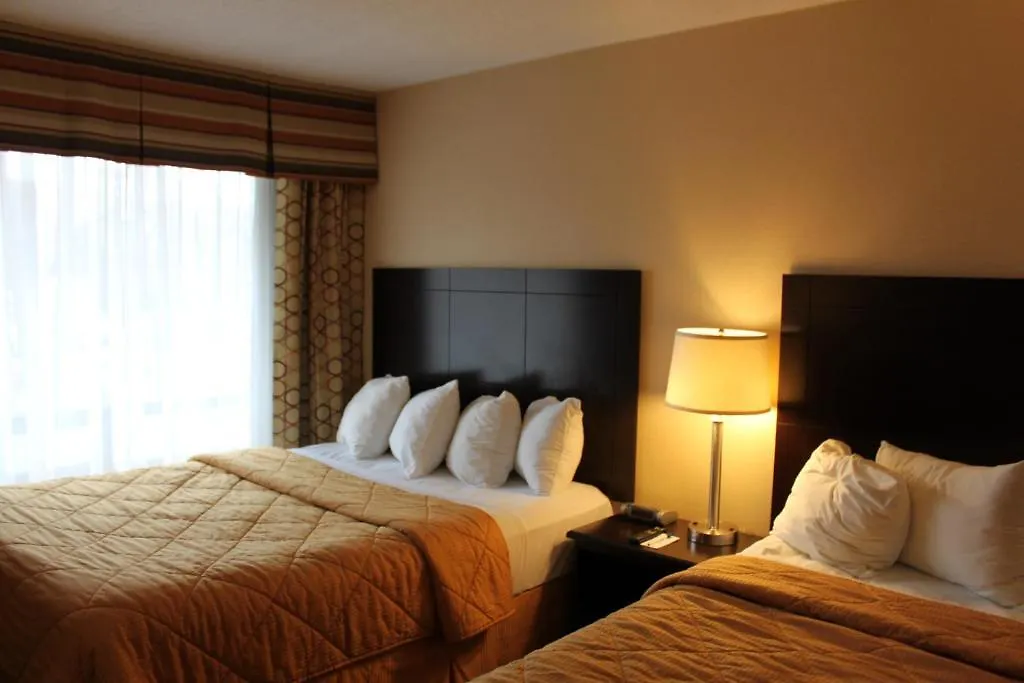 Comfort Inn East Scarborough Toronto Hotel