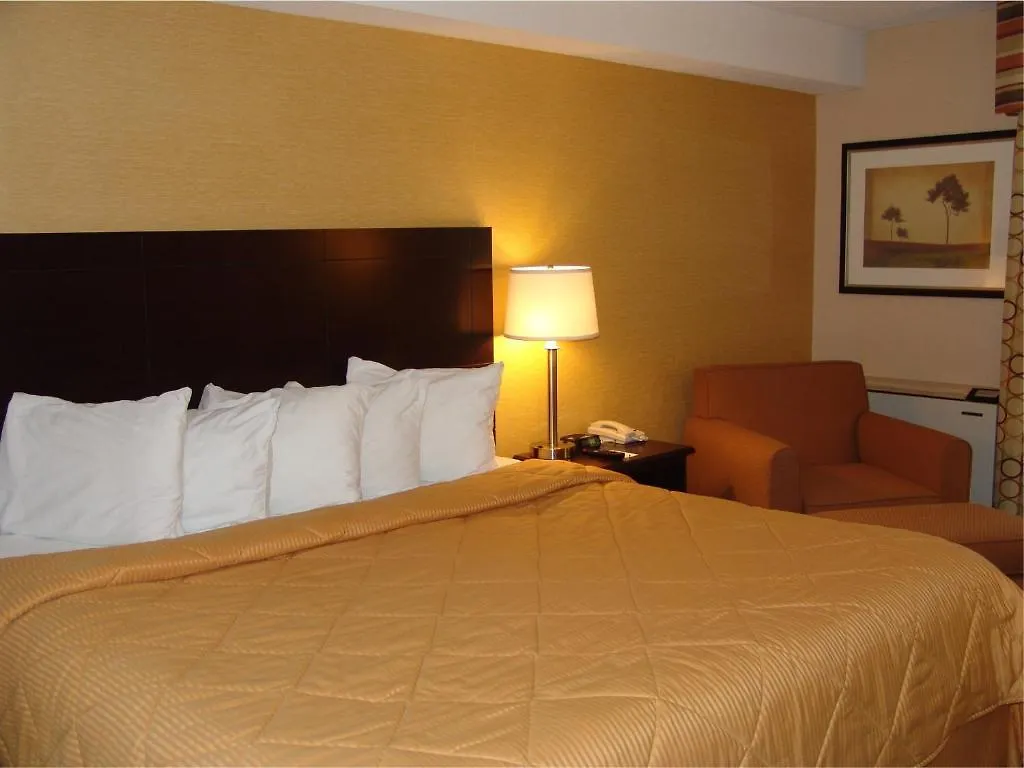Comfort Inn East Scarborough Toronto Hotel