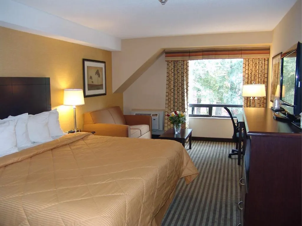 Comfort Inn East Scarborough Toronto
